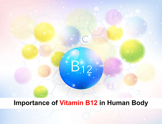 Importance of Vitamin B12 in Human Body